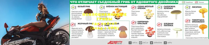 ссылка на мегу   Иланский  Галлюциногенные грибы Psilocybine cubensis 